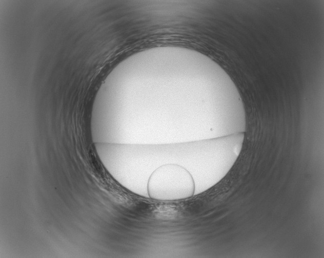 X0000076420751200611031813