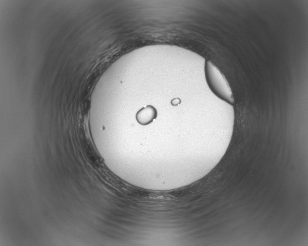 X0000076420752200611031813