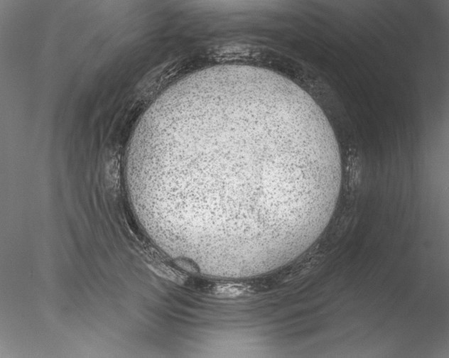 X0000076420753200611031813