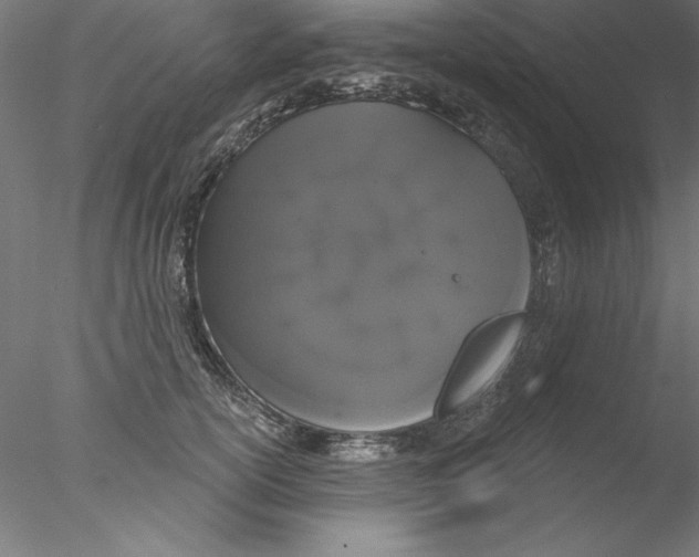 X0000076420754200611031813