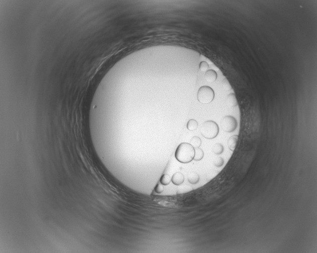 X0000076420755200611031813