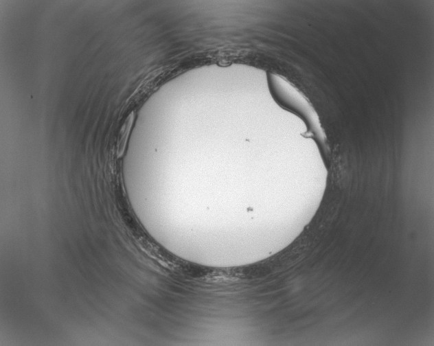 X0000076420756200611031813