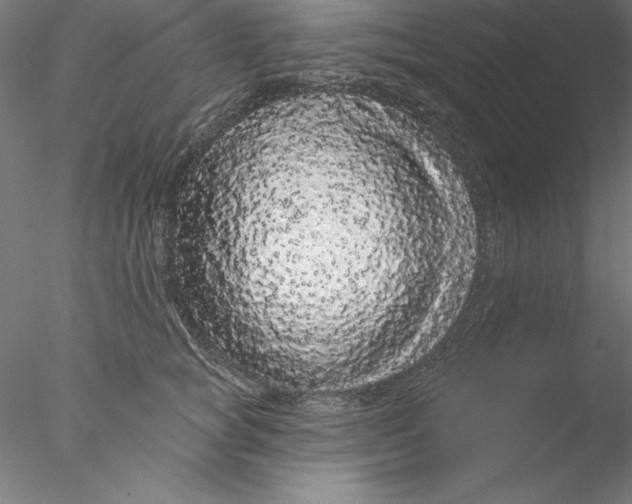 X0000076420757200611031813