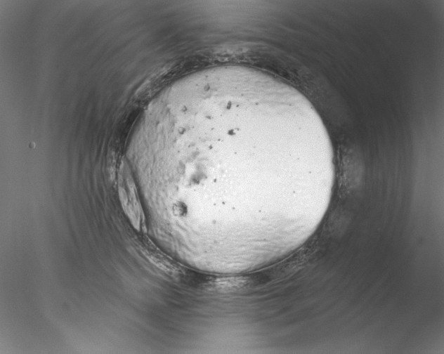 X0000076420758200611031813