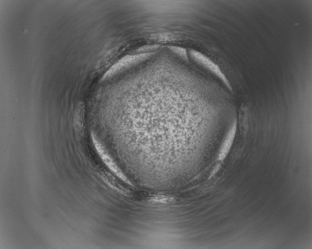 X0000076420760200611031813