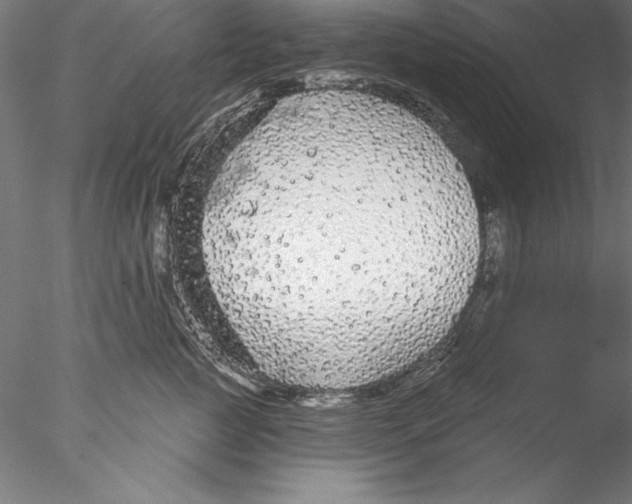 X0000076420761200611031813