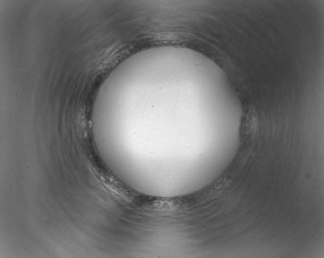 X0000076420764200611031813