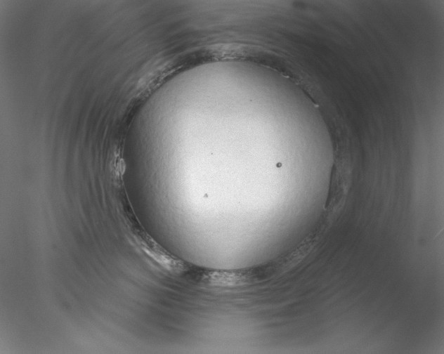 X0000076420766200611031813