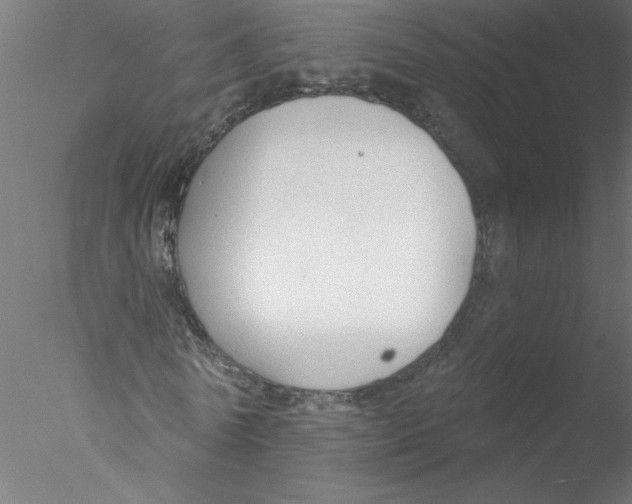 X0000076420770200611031812