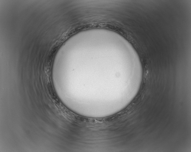 X0000076420772200611031812