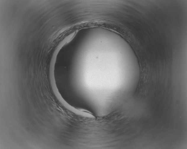 X0000076420773200611031812