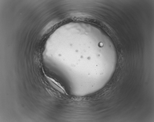 X0000076420775200611031812