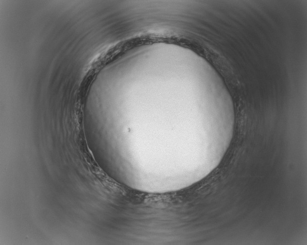 X0000076420776200611031812