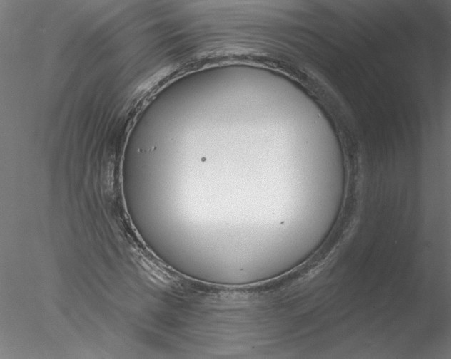 X0000076420777200611031812