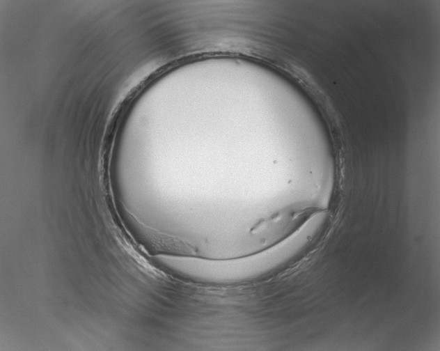 X0000076420780200611031812