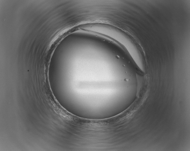 X0000076420781200611031812