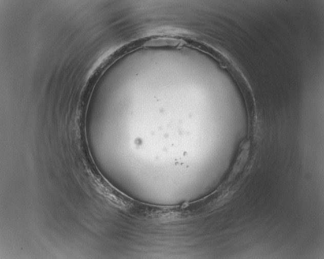 X0000076420783200611031812