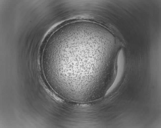 X0000076420784200611031812