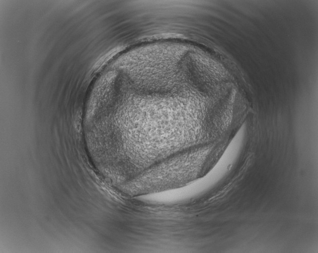 X0000076420785200611031812