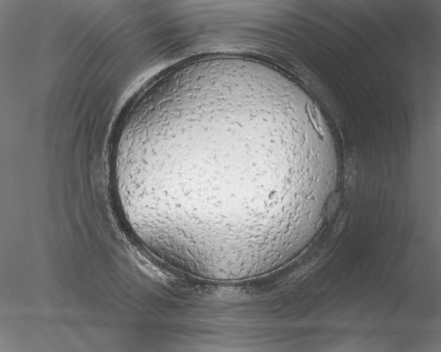 X0000076420787200611031812