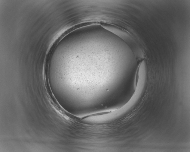 X0000076420788200611031812