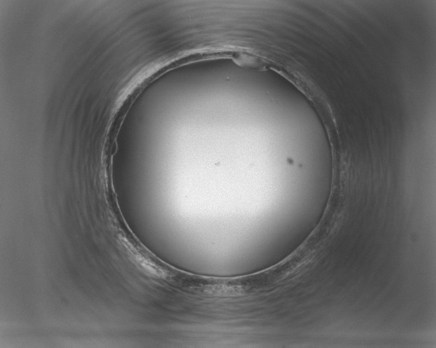 X0000076420789200611031812