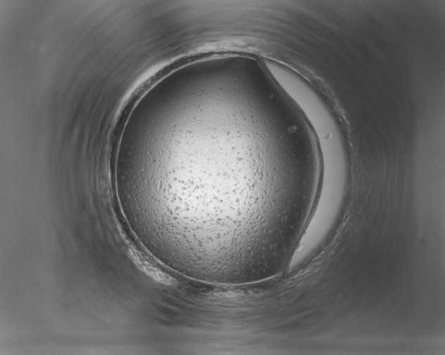 X0000076420792200611031812