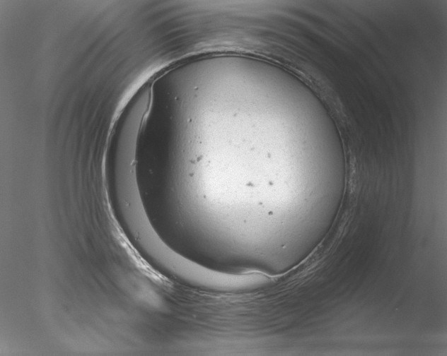 X0000076420796200611031812