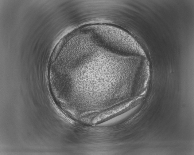 X0000076420797200611031812