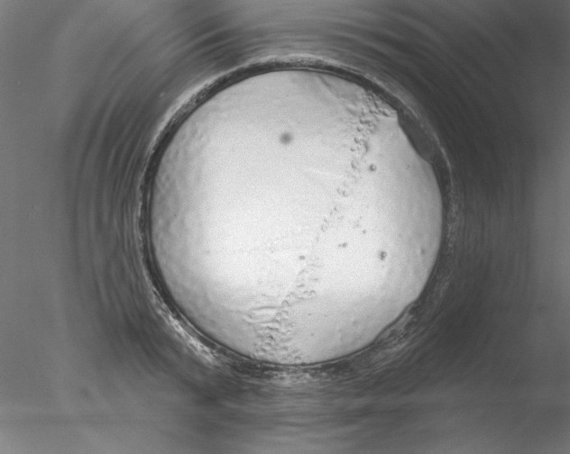 X0000076420799200611031812