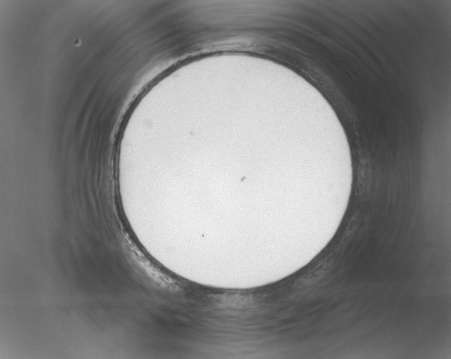 X0000076420800200611031812