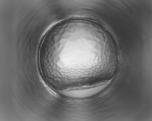 X0000076420803200611031812