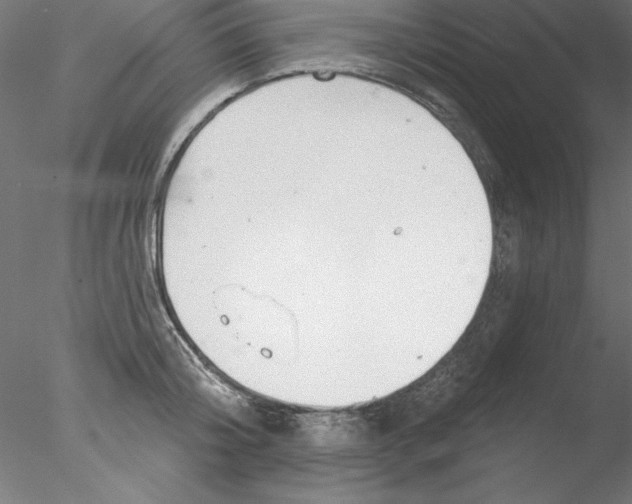 X0000076420804200611031812