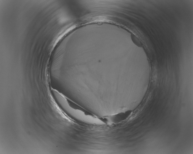 X0000076420806200611031812