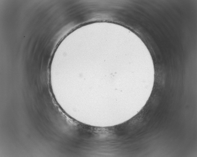 X0000076420807200611031812