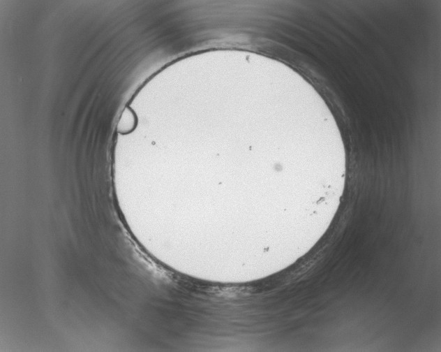 X0000076420808200611031812