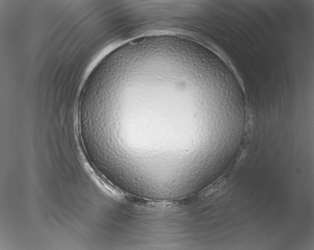 X0000076420811200611031812