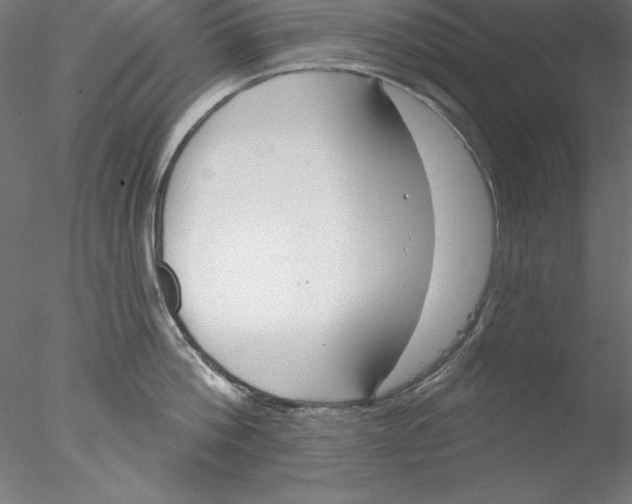 X0000076420812200611031812