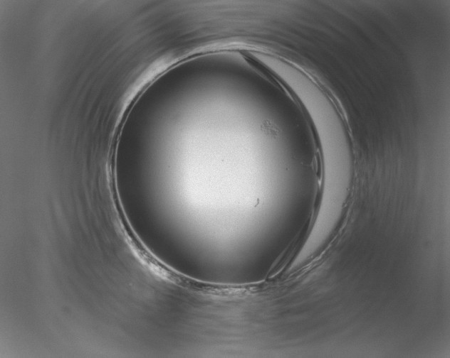 X0000076420813200611031812