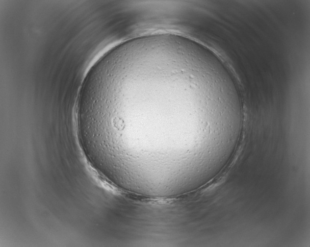 X0000076420814200611031812