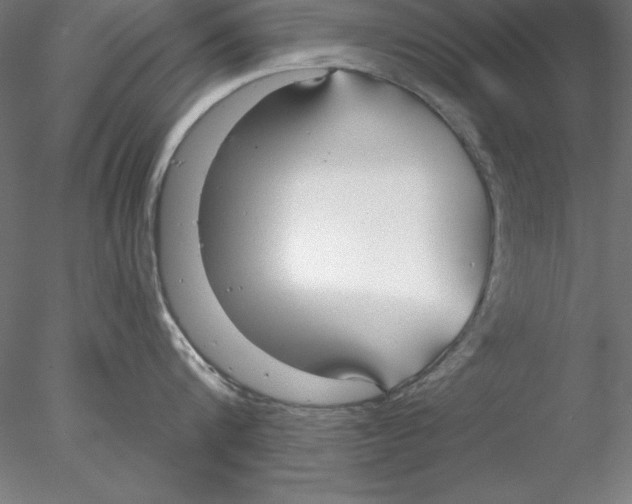 X0000076420816200611031812