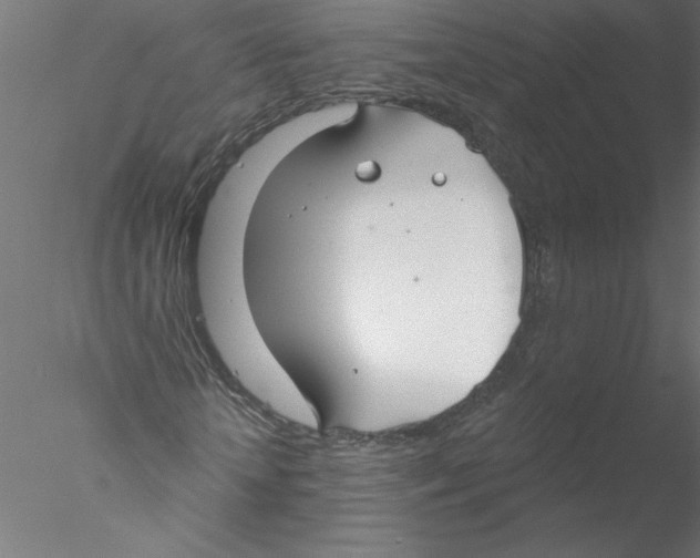 X0000076420818200611031811