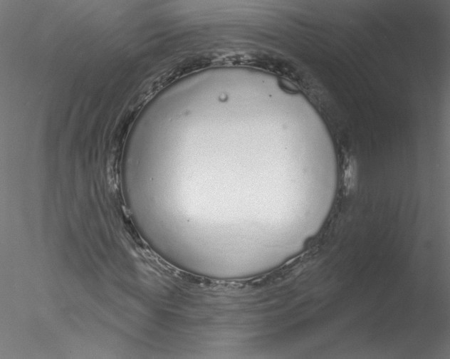 X0000076420819200611031811