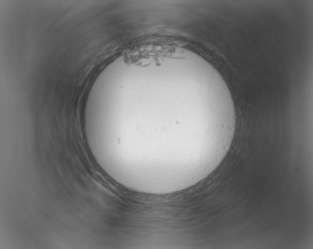 X0000076420820200611031811