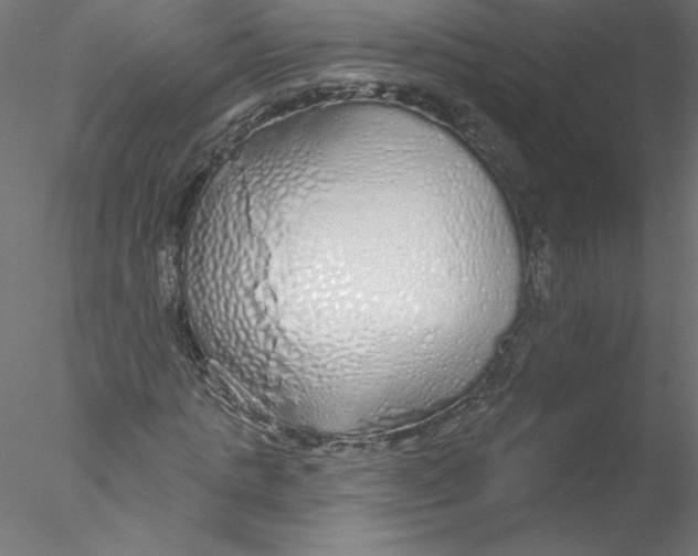 X0000076420821200611031811