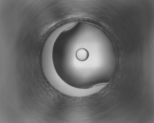 X0000076420822200611031811