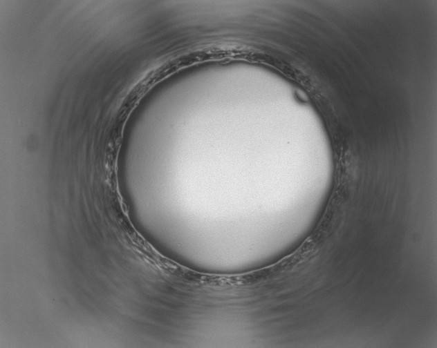 X0000076420823200611031811