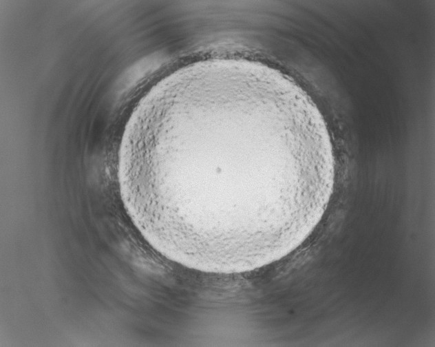 X0000076420824200611031811