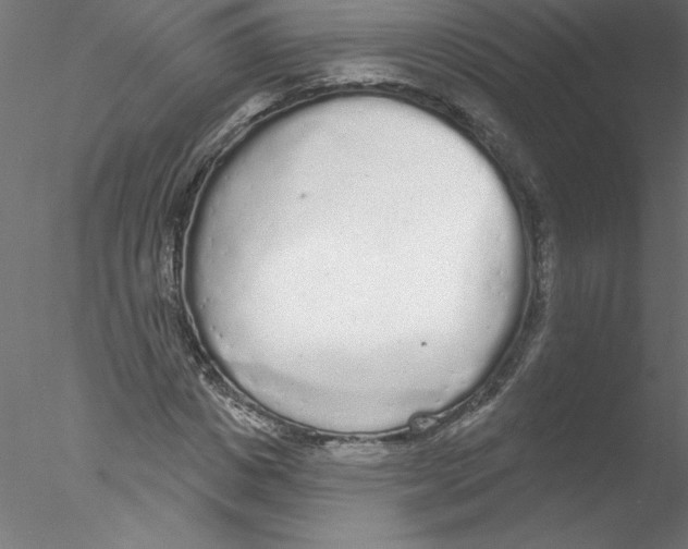 X0000076420825200611031811