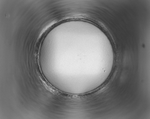 X0000076420827200611031811